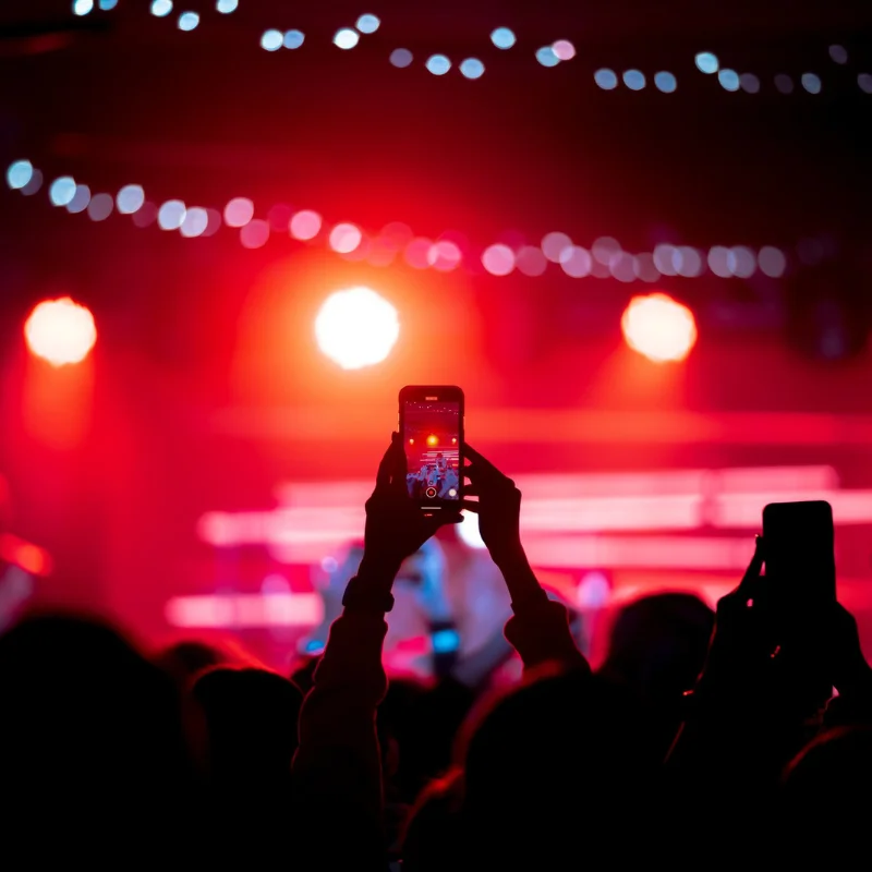Público disfrutando del concierto